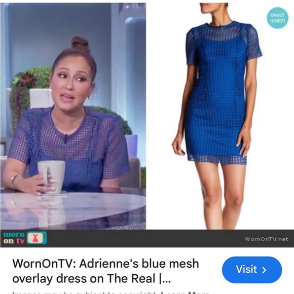 Milly Blue Chloe Illusion Net Dress - Picture 11 of 12